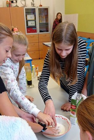 Fotografie 11-1669908479_original.jpg