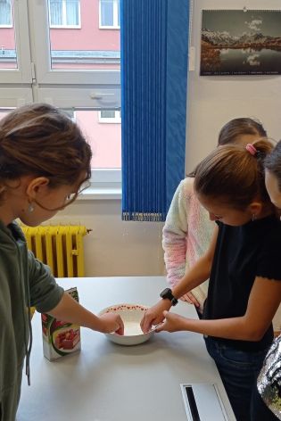 Fotografie 12-1669908480_original.jpg