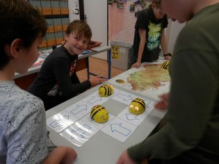 Fotografie pc010025_original.jpg