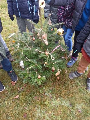 Fotografie 02-1670005194_original.jpg