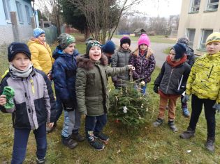 Fotografie 03-1670005191_original.jpg