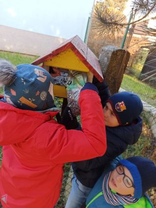 Fotografie 07-1670005214_original.jpg