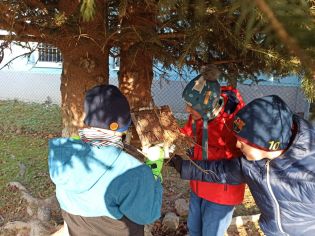 Fotografie 08-1670005216_original.jpg