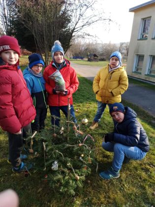 Fotografie 11-1670005222_original.jpg