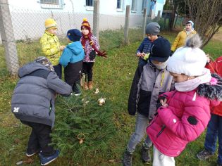 Fotografie 13-1670005226_original.jpg