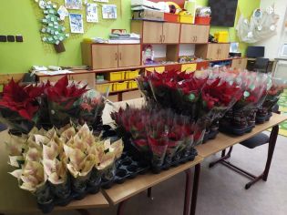 Fotografie img_20221205_115717_original.jpg