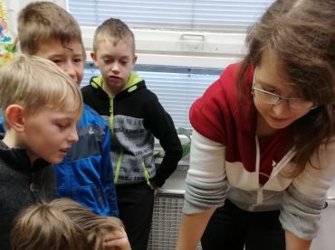 Foto k aktualitě Školení první pomoci ve 3. a 4. třídě