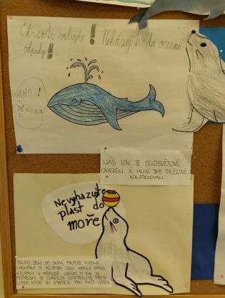 Fotografie 02-1674141831_original.jpg