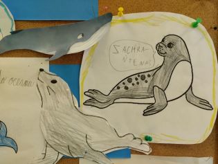 Fotografie 04-1674141832_original.jpg