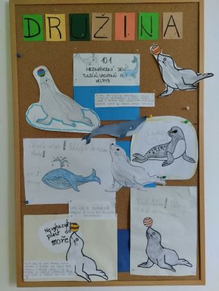 Fotografie 06-1674141833_original.jpg