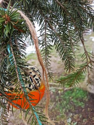 Fotografie 02-1674833959_original.jpg