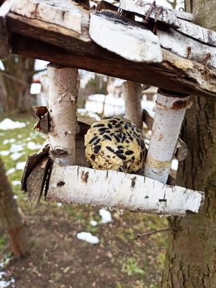 Fotografie 03-1674833961_original.jpg