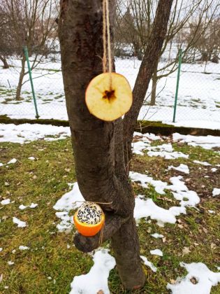 Fotografie 04-1674833963_original.jpg