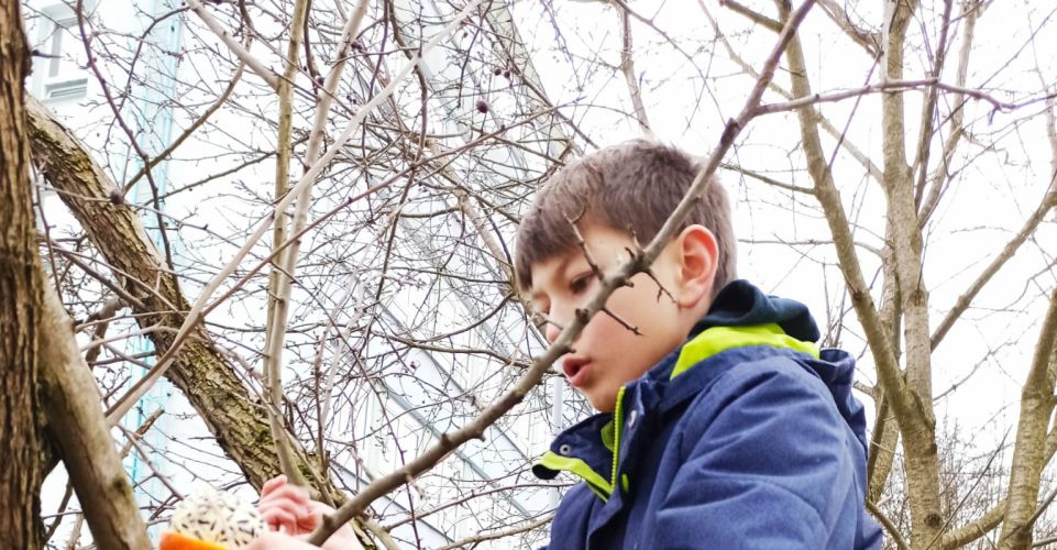 Výroba krmítek v družině