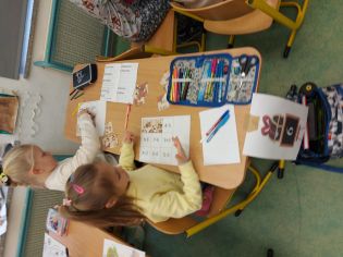 Fotografie 01-1675263465_original.jpg