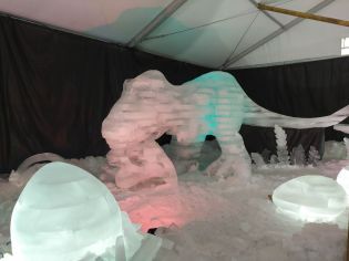 Fotografie 328080940_909014777193401_12588901696274_original.jpg