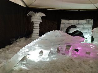 Fotografie 328509445_1148726759178865_3615371708257_original.jpg