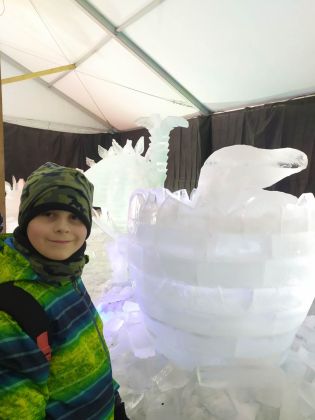 Fotografie 328588891_511018764477751_85354732654104_original.jpg