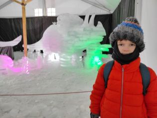 Fotografie img_20230131_093548_original.jpg