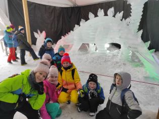 Fotografie img_20230131_093729_original.jpg