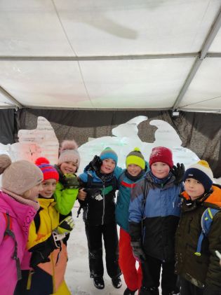 Fotografie img_20230131_095720_original.jpg