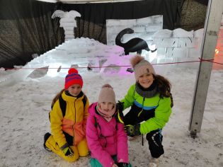 Fotografie img_20230131_095811_original.jpg