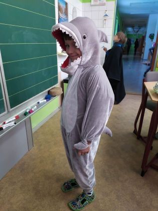 Fotografie 22222_original.jpg