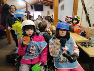 Fotografie img_20230206_140925_original.jpg