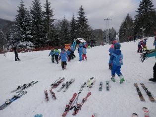 Fotografie p2060004_original.jpg