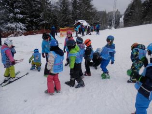 Fotografie p2060006_original.jpg