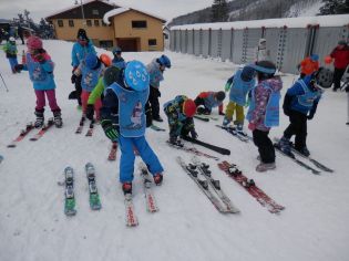 Fotografie p2060008_original.jpg