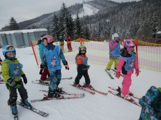 Fotografie p2060013_original.jpg