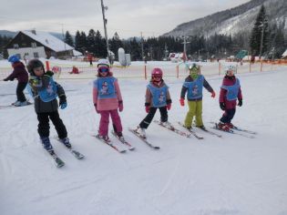 Fotografie p2060018_original.jpg