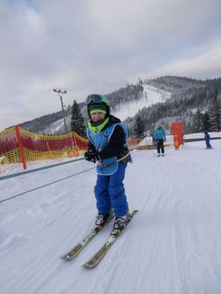 Fotografie p2060019_original.jpg