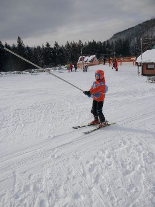 Fotografie p2060020_original.jpg