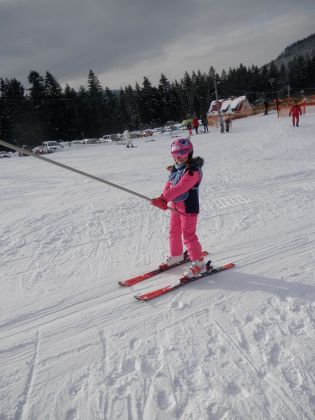 Fotografie p2060021_original.jpg