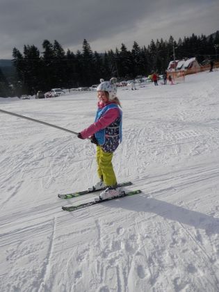 Fotografie p2060023_original.jpg