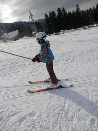 Fotografie p2060025_original.jpg