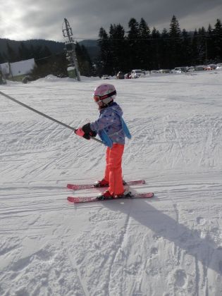 Fotografie p2060026_original.jpg