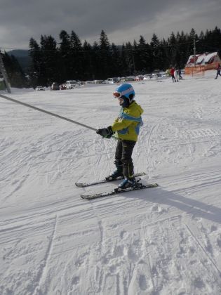 Fotografie p2060027_original.jpg