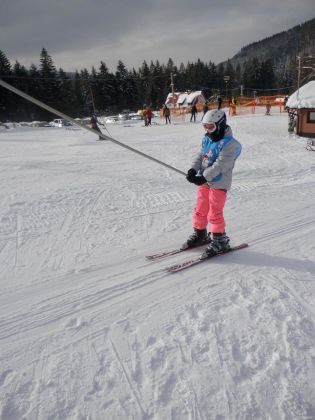 Fotografie p2060028_original.jpg