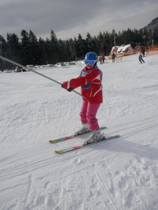 Fotografie p2060030_original.jpg