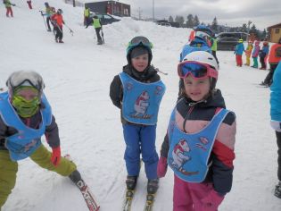 Fotografie p2070042_original.jpg