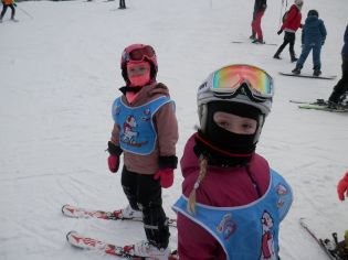 Fotografie p2070043_original.jpg