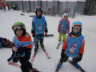 Fotografie p2070045_original.jpg