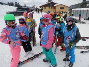 Fotografie p2070046_original.jpg