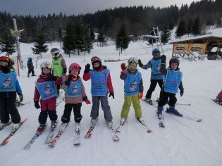 Fotografie p2070049_original.jpg