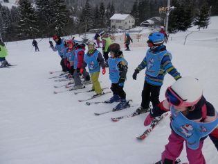 Fotografie p2070050_original.jpg