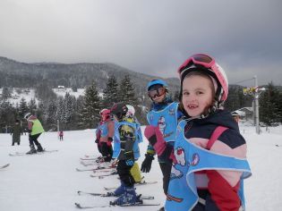 Fotografie p2070051_original.jpg