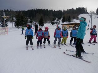 Fotografie p2070053_original.jpg